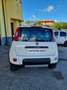 Fiat Panda 1.3 mjt 16v 4x4 75cv E5+ - thumbnail 3