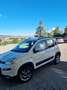 Fiat Panda 1.3 mjt 16v 4x4 75cv E5+ - thumbnail 4