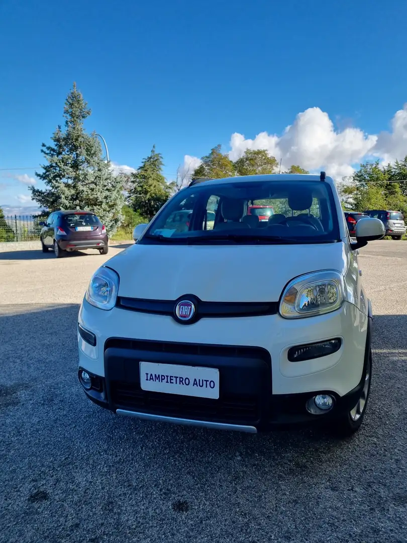 Fiat Panda 1.3 mjt 16v 4x4 75cv E5+ - 1