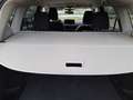 Nissan X-Trail X-Trail  1.5 e-power N-Connecta e-4orce 4wd aut. Bianco - thumbnail 15