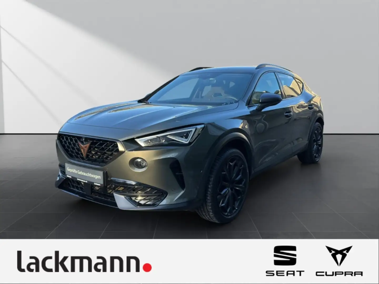 CUPRA Formentor 2.0 Tribe Edition *Matrix*360*Beats* Grün - 1