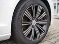Volvo V60 Kombi 2.0 Inscription Expression Recharge Plug-In Hybrid AWD Weiß - thumbnail 12