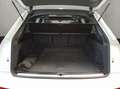 Audi Q7 SUV S line 50 TDI quattro 210(286) kW(PS) tip Blanc - thumbnail 19