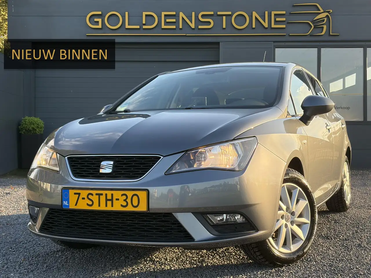 Seat Ibiza