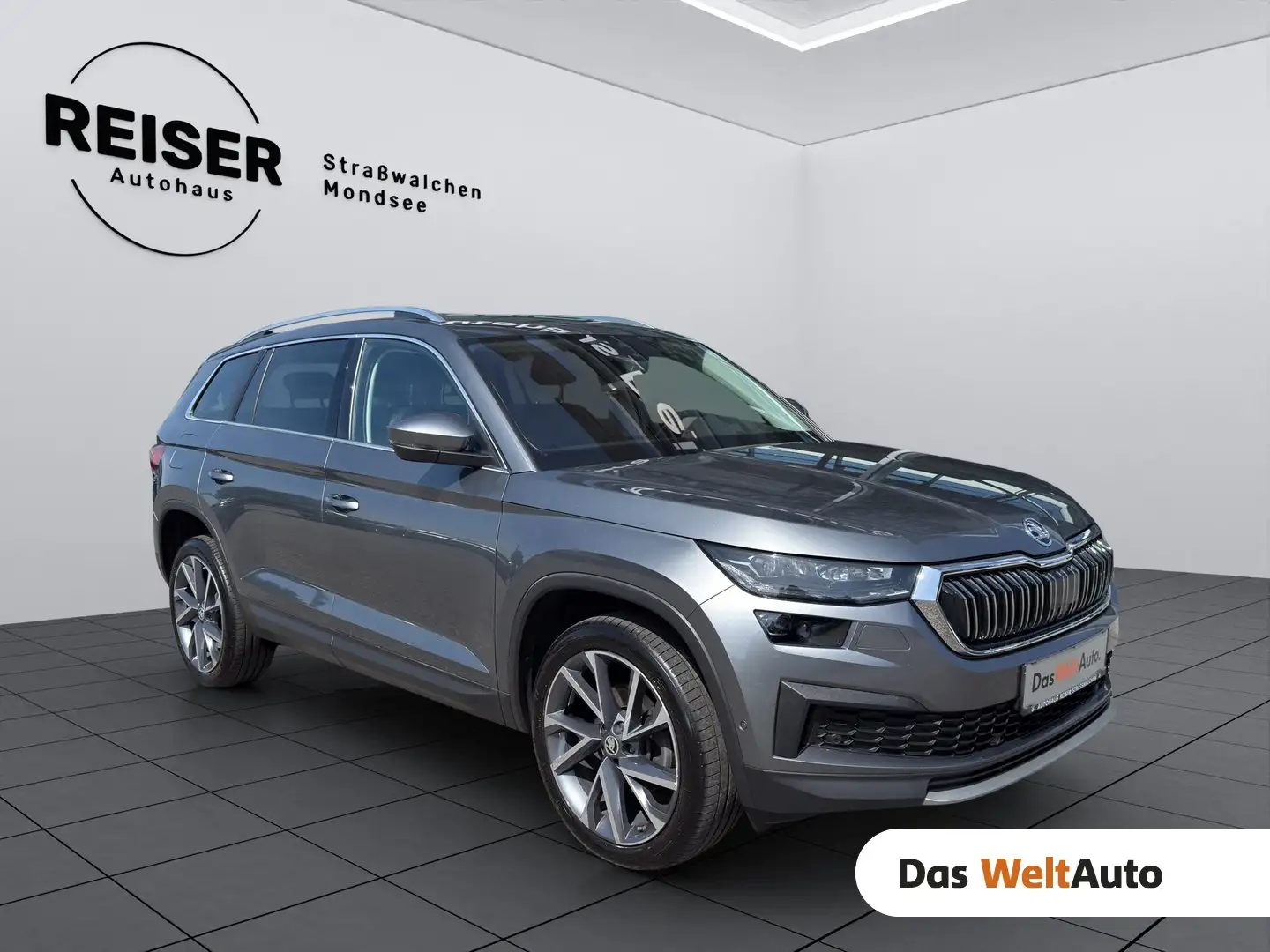 Skoda Kodiaq Style TDI DSG Grau - 1