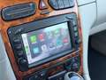 Mercedes-Benz CLK 270 Coupe cdi Elegance MANIACALE Blau - thumbnail 24