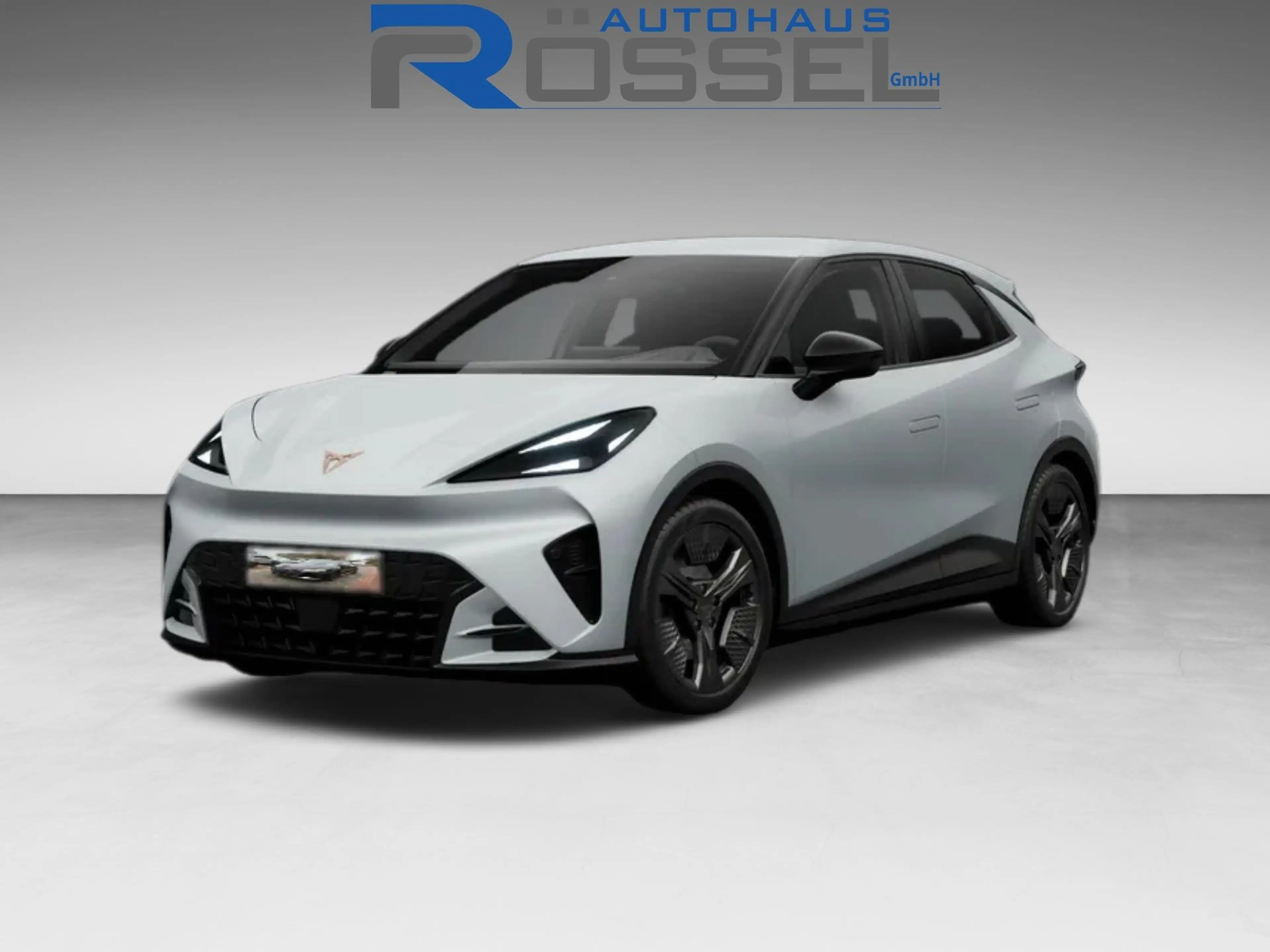 CUPRA Raval Plus Edition Navi/Rückfahrkamra/Alufelgen 18 Zoll