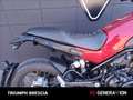 Benelli Leoncino Trail E4 Rood - thumbnail 4