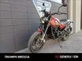 Benelli Leoncino Trail E4 Rood - thumbnail 14