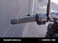 Benelli Leoncino Trail E4 Rood - thumbnail 10