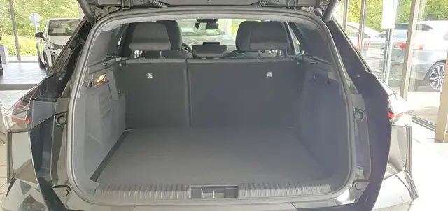 Mitsubishi Grandis view 14