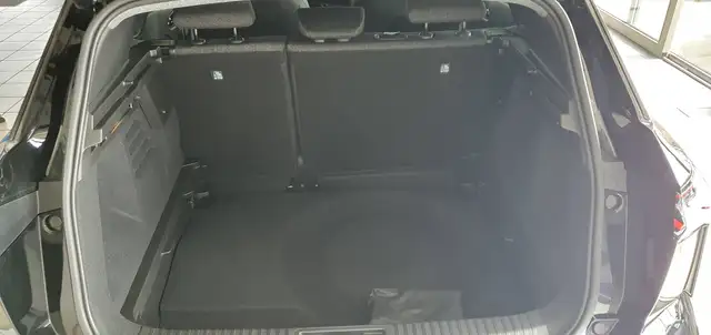 Mitsubishi Grandis view 15