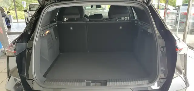 Mitsubishi Grandis view 13