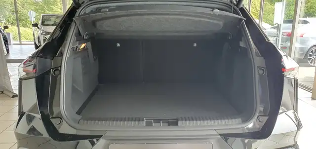 Mitsubishi Grandis view 12