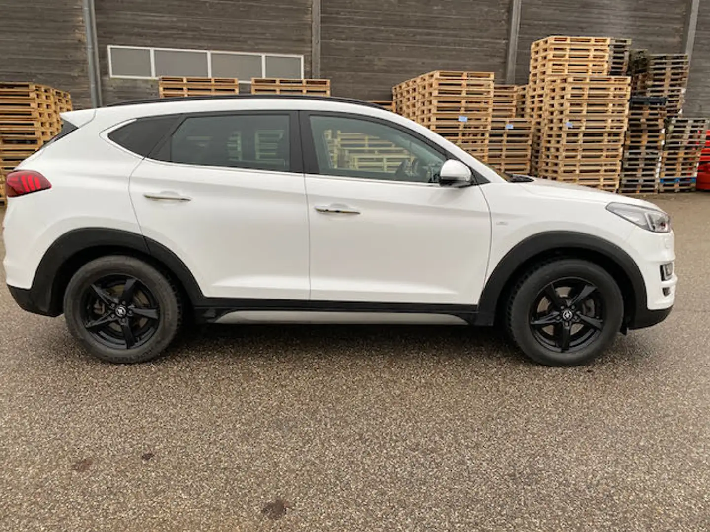 Hyundai TUCSON Tucson 1,6 CRDi 4WD 48V Hybrid Automatik Weiß - 1