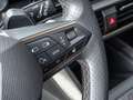 CUPRA Formentor VZ 2.0 TSI DSG AHK+RFK+NAVI+SHZ+LED Schwarz - thumbnail 17