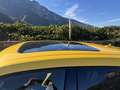 Lamborghini Urus 4.0 V8 phev SE auto IVA TOTALE - thumbnail 14