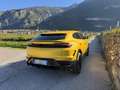 Lamborghini Urus 4.0 V8 phev SE auto IVA TOTALE - thumbnail 6