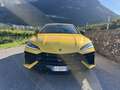 Lamborghini Urus 4.0 V8 phev SE auto IVA TOTALE - thumbnail 10
