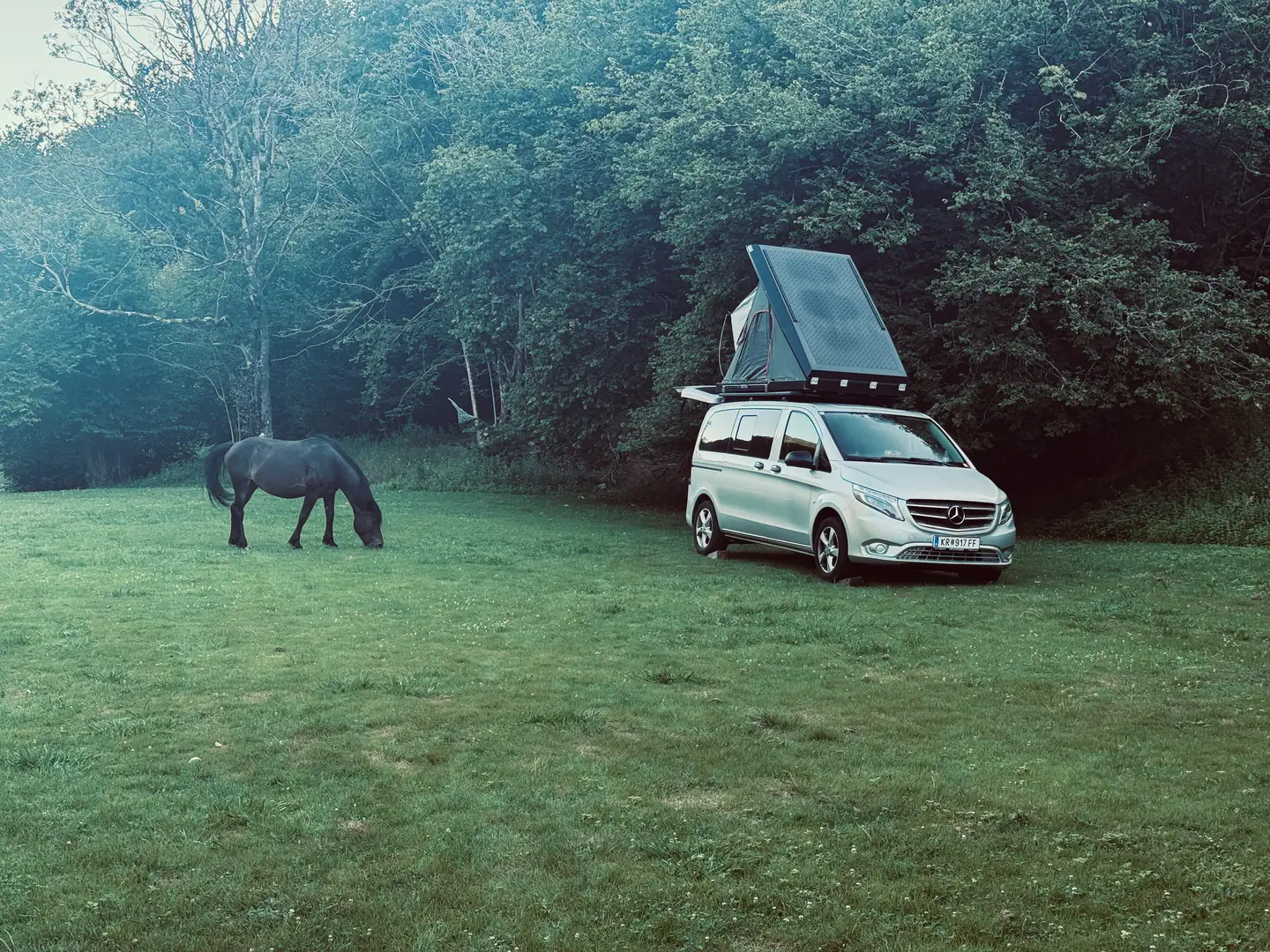Mercedes-Benz Vito Vito Tourer Pro 4x4 kompakt Marco Polo Ausstattung Silber - 1