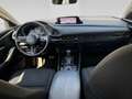 Mazda CX-30 /G122/AT/Comfort+ - thumbnail 19