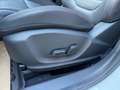 MG ZS 1,0T Luxury 111PS Pano AHK Weiß - thumbnail 17