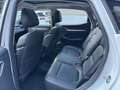 MG ZS 1,0T Luxury 111PS Pano AHK Weiß - thumbnail 13