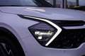 Kia Sportage 1.6 T-GDi Plug-in Hybrid AWD GT-Line | Panodak | T Blanc - thumbnail 13