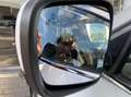 Renault Koleos 2.0 DCI 4WD Initiale Paris / 4x4 / FULL OPTIONS / Weiß - thumbnail 12