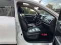 Renault Koleos 2.0 DCI 4WD Initiale Paris / 4x4 / FULL OPTIONS / Weiß - thumbnail 23