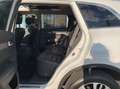 Renault Koleos 2.0 DCI 4WD Initiale Paris / 4x4 / FULL OPTIONS / Weiß - thumbnail 18