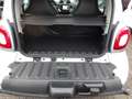 smart forTwo coupe BRABUS-Sport-Paket,Leder,LED,Kamera Blanc - thumbnail 14