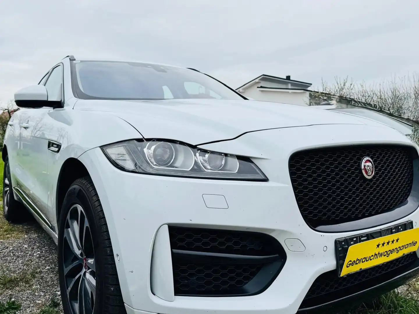 Jaguar F-Pace 30d AWD R-Sport Automatik Weiß - 2