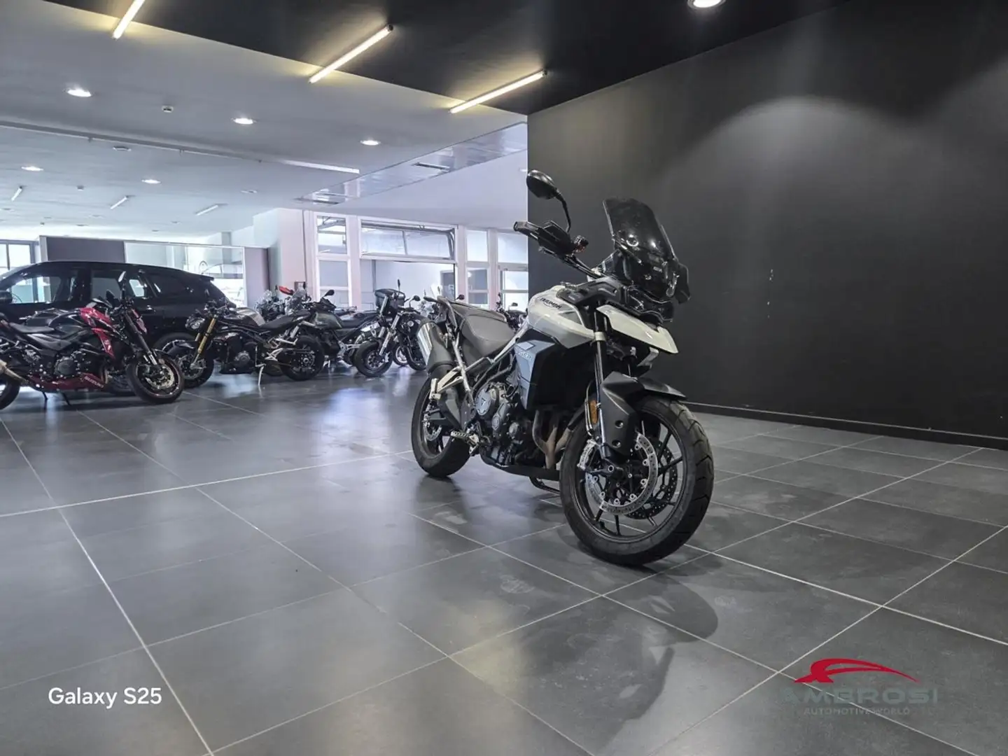 Triumph Tiger 900 900 GT Bianco - 2