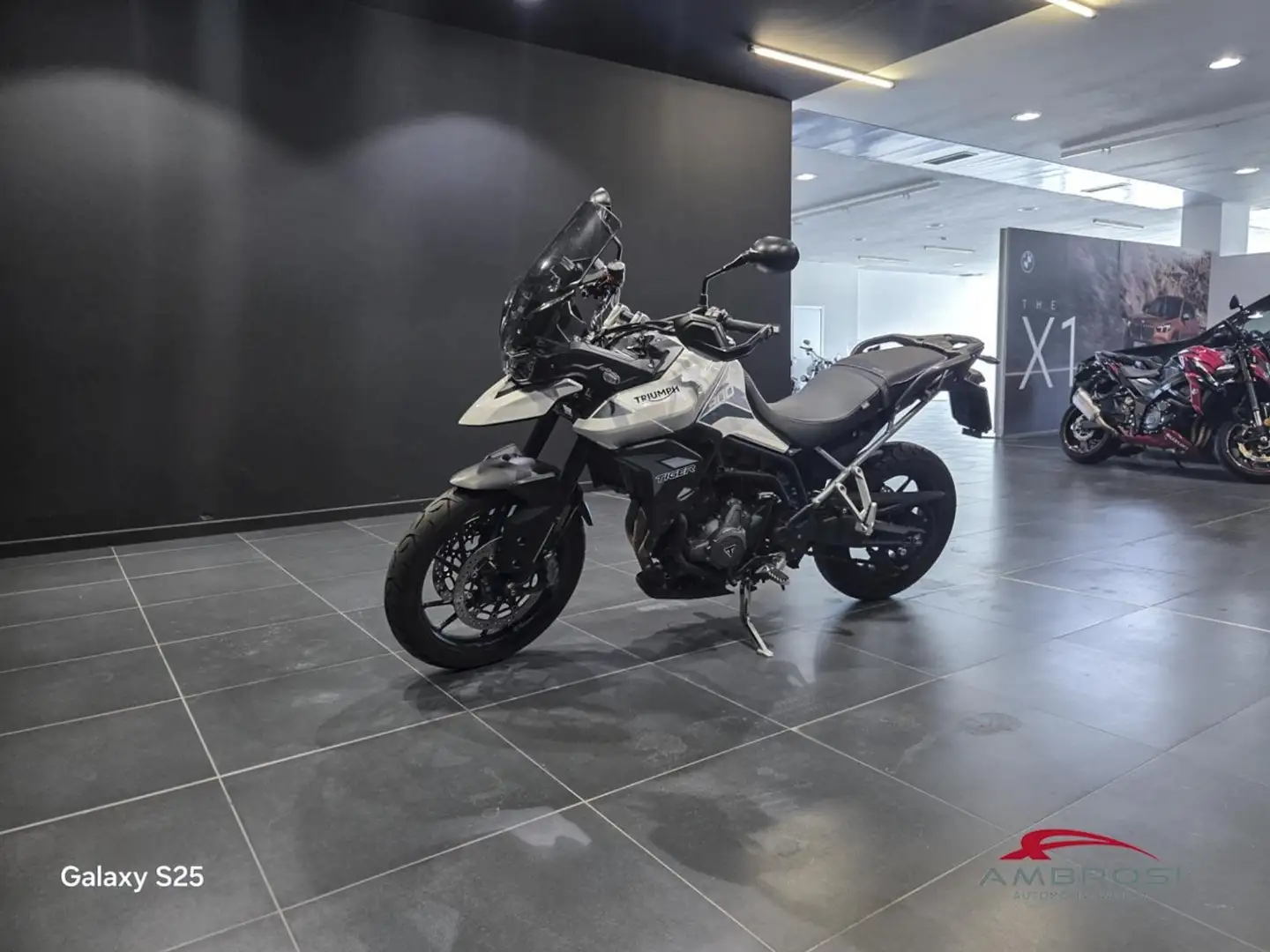 Triumph Tiger 900 900 GT Bianco - 1