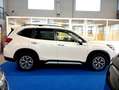 Subaru Forester 2.0i E-Boxer AWD 4X4 LED CAMERA ACC PRONTA CONS Blanc - thumbnail 7