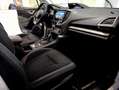 Subaru Forester 2.0i E-Boxer AWD 4X4 LED CAMERA ACC PRONTA CONS Blanc - thumbnail 32