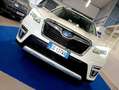 Subaru Forester 2.0i E-Boxer AWD 4X4 LED CAMERA ACC PRONTA CONS Blanc - thumbnail 19