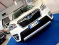 Subaru Forester 2.0i E-Boxer AWD 4X4 LED CAMERA ACC PRONTA CONS Blanc - thumbnail 36