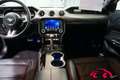 Ford Mustang MUSTANG 5.0 TI-VCT V8 CONVERTIBLE/CABRIO GT MAGNER Schwarz - thumbnail 5