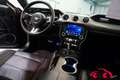 Ford Mustang MUSTANG 5.0 TI-VCT V8 CONVERTIBLE/CABRIO GT MAGNER Schwarz - thumbnail 6