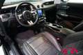 Ford Mustang MUSTANG 5.0 TI-VCT V8 CONVERTIBLE/CABRIO GT MAGNER Schwarz - thumbnail 15