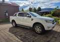 Ford Ranger Ranger Doppelkabine Limited 4x4 2,0 EcoBlue Aut. L Weiß - thumbnail 4