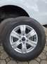 Ford Ranger Ranger Doppelkabine Limited 4x4 2,0 EcoBlue Aut. L Weiß - thumbnail 14