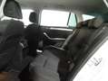 Skoda Superb Combi Style DSG Navi Xenon SH Tempo PDC Weiß - thumbnail 12