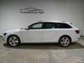Skoda Superb Combi Style DSG Navi Xenon SH Tempo PDC Weiß - thumbnail 9