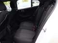BMW 120 d xDrive Advantage DAB LED WLAN RFK Tempomat Blanco - thumbnail 15