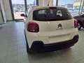Citroen C3 PureTech 110cv S&S Plus Pack Bianco - thumbnail 3