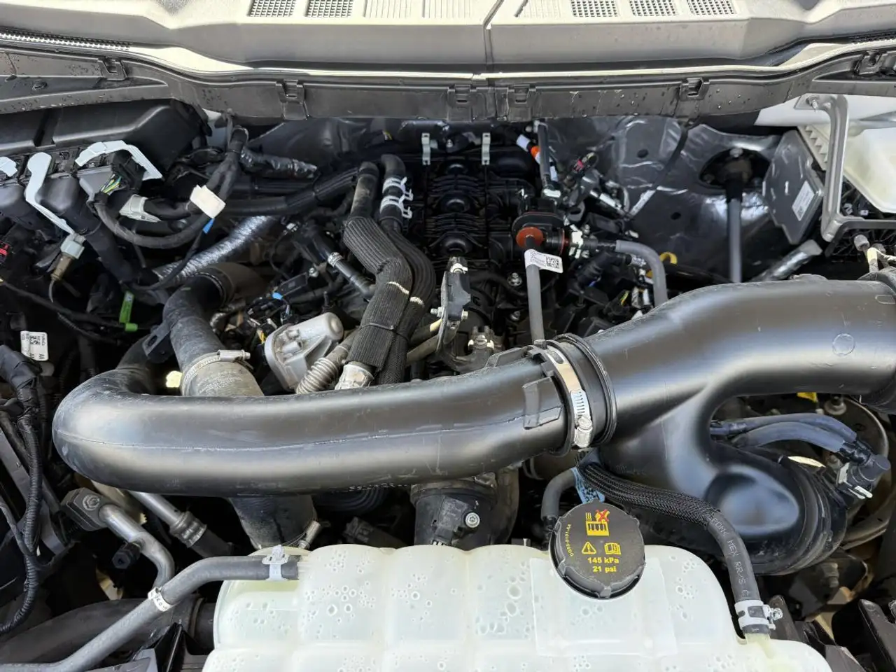 Ford F 150 fotografie Ford F 150