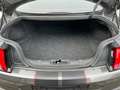 Ford Mustang GT Performance 5.0 V8 Aut*Leder*Sitzhz*Navi*Brembo Grey - thumbnail 15